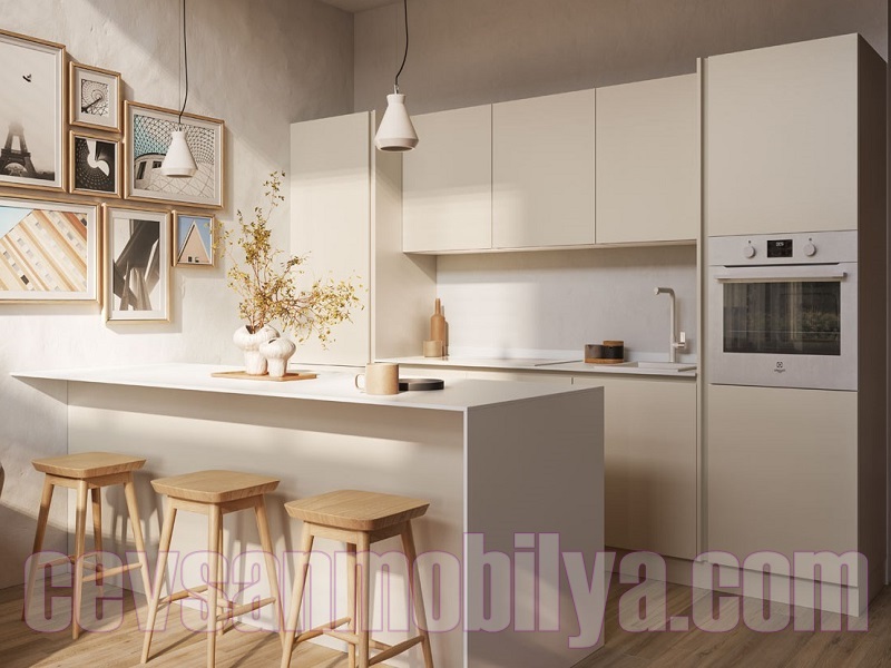 özel ölçülerde dolabı tasarım mutfak modeli mutfak dolapları renkleri çeşitleri